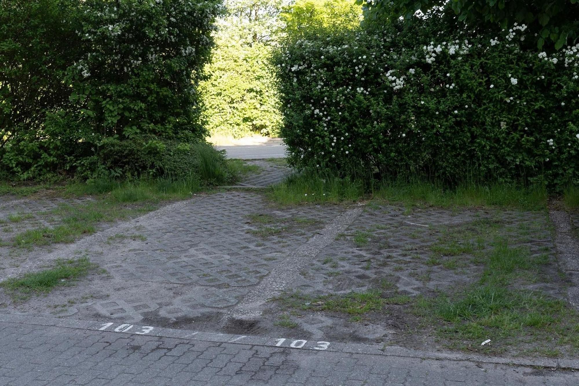 Appartamento Berolina Sonnentau Dahme  Esterno foto